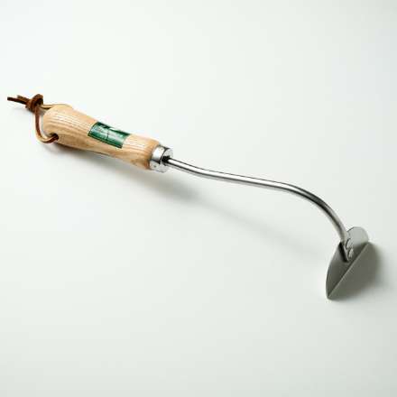 オニオンホーの画像